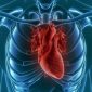 human-heart-compressor